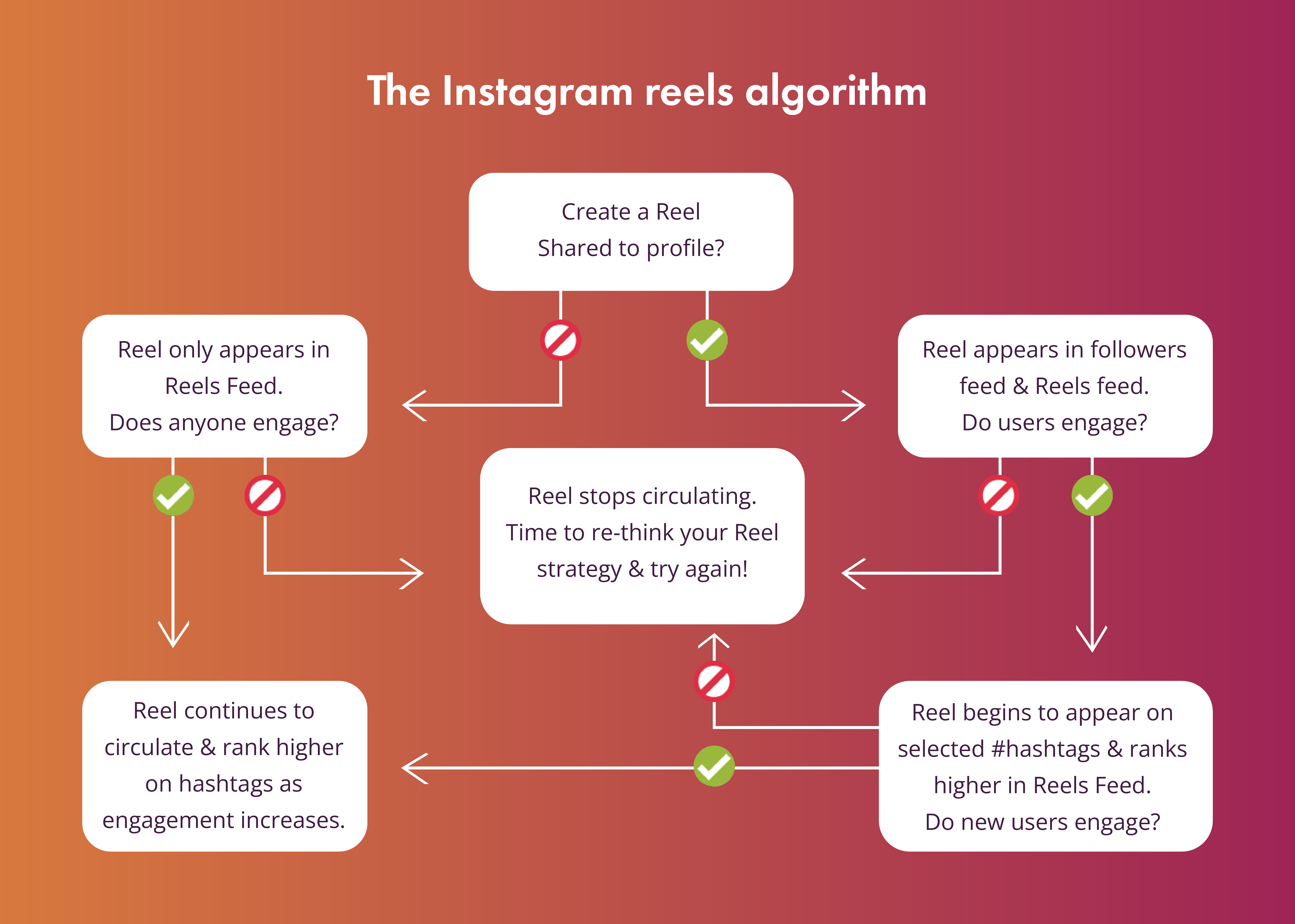 Algorithm Signals and Weight Coefficients